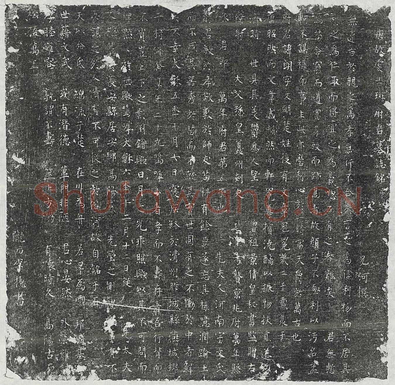 唐斑朗墓誌(唐故处士斑府君墓誌铭并叙)