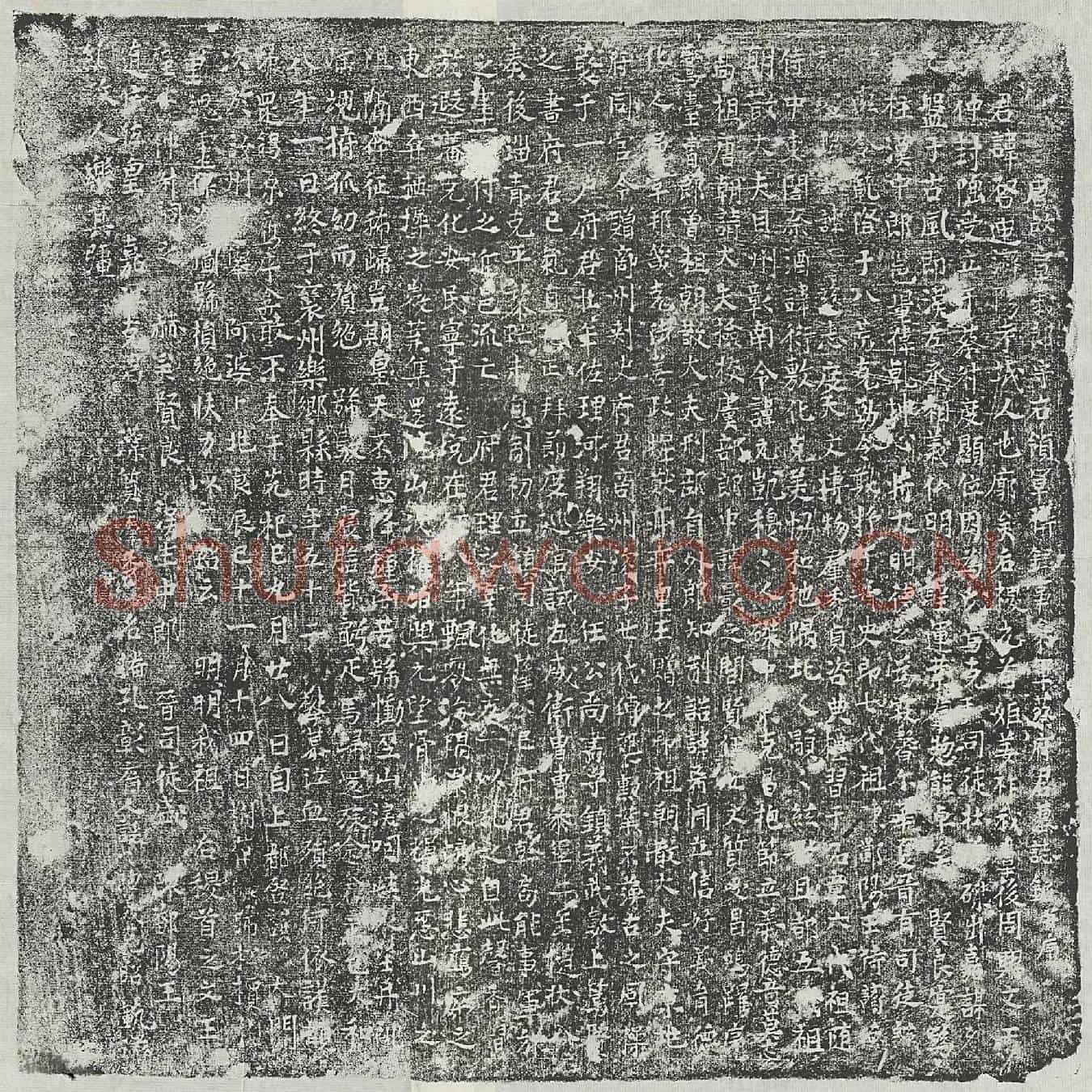 唐蔡启迪墓誌(唐故宣议郎守右领军卫录事参军蔡府君墓誌铭并序)