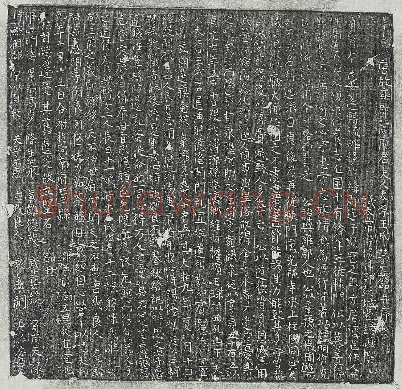 唐兰兴妻王氏墓誌(唐故雍郡阑府君夫人太原王氏墓誌铭并序)
