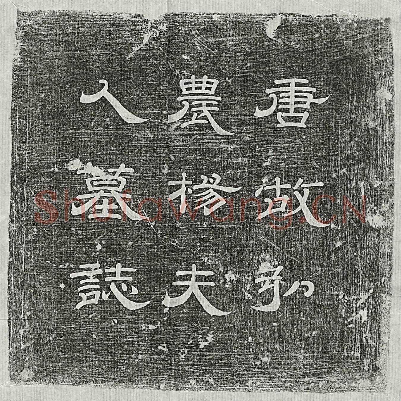 唐韩君妻杨氏墓誌(唐故弘农杨夫人墓誌铭并序)