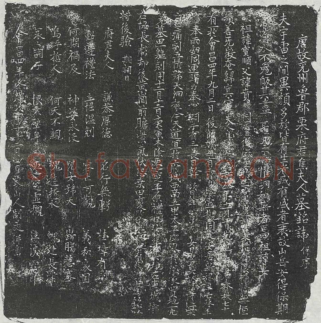 唐栗君妻焦氏墓誌(唐故兖州鲁郡栗府君焦夫人墓铭誌併序)