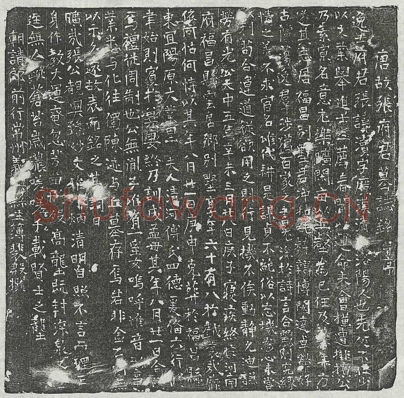 唐张渎墓誌(唐故张府君墓誌铭并序)