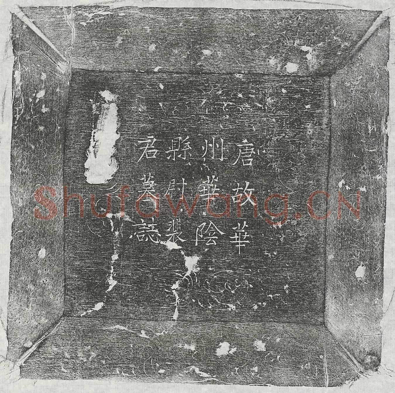 唐裴谨墓誌(唐□□□华阴县尉裴君墓誌铭)