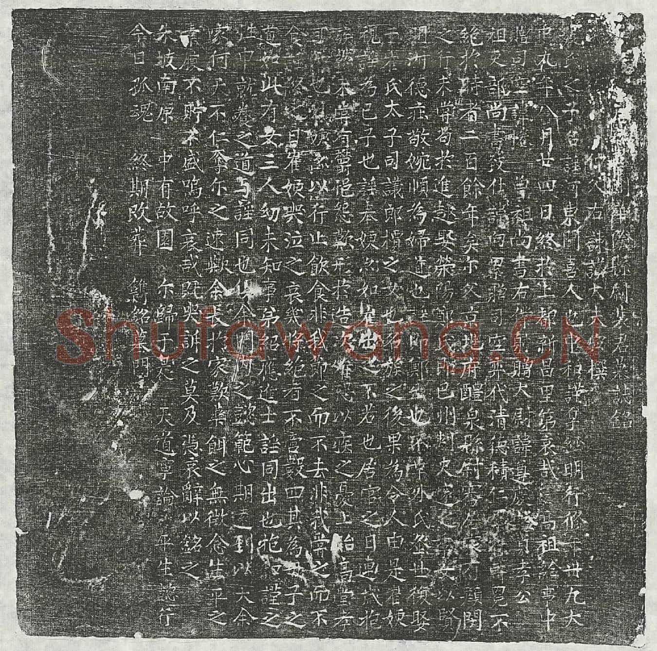 唐裴谨墓誌(唐□□□华阴县尉裴君墓誌铭)