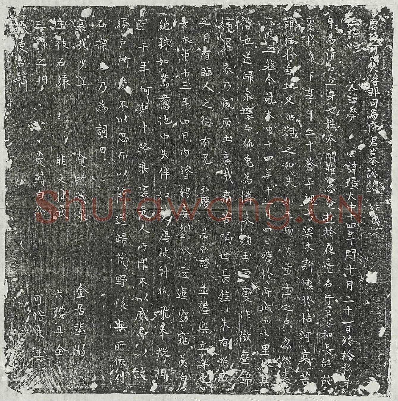唐司马璋墓誌(唐故河内大浮郡司马府君墓誌铭并序)