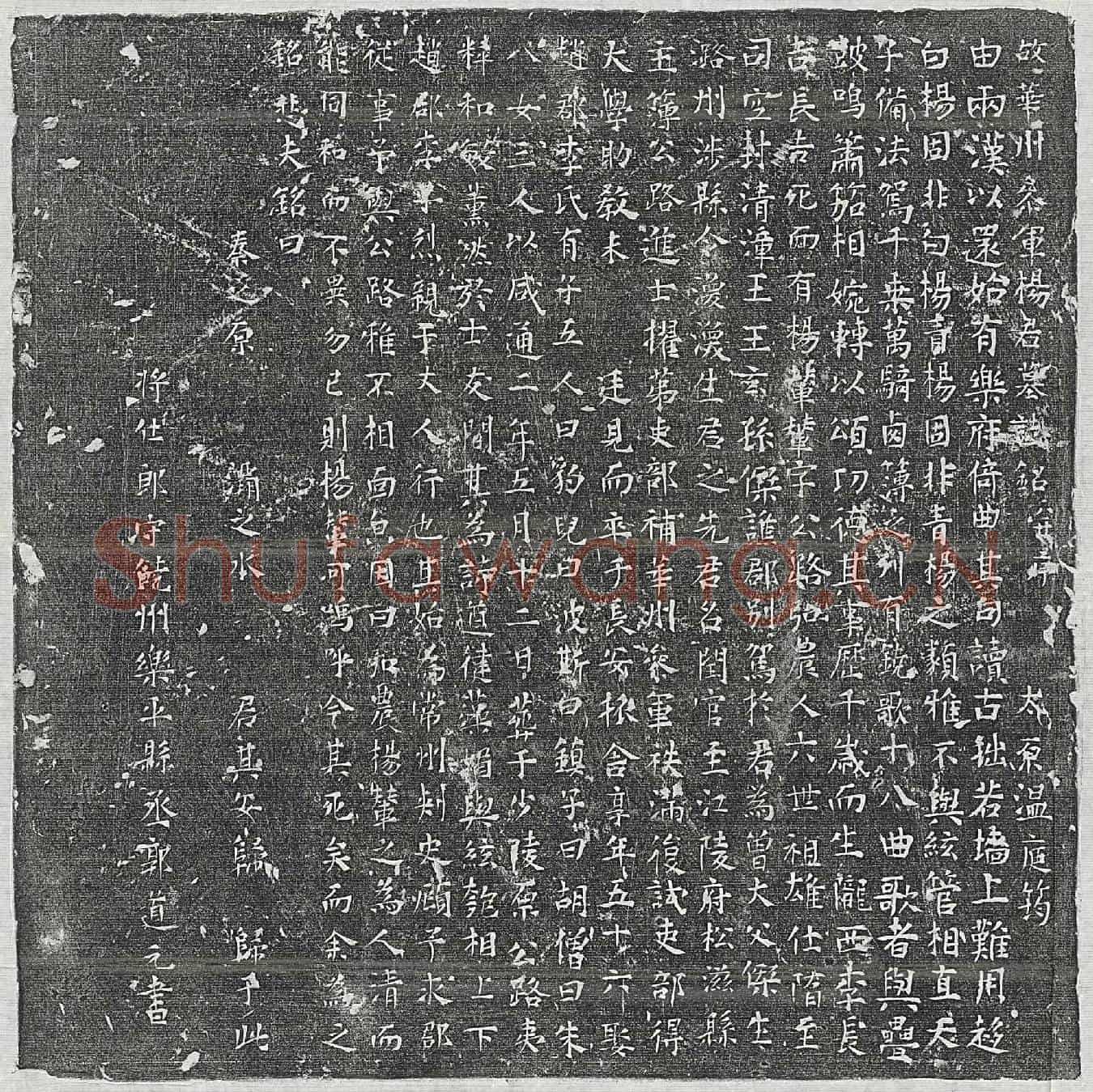 唐杨辇墓誌(故华州参军杨君墓誌铭并序)