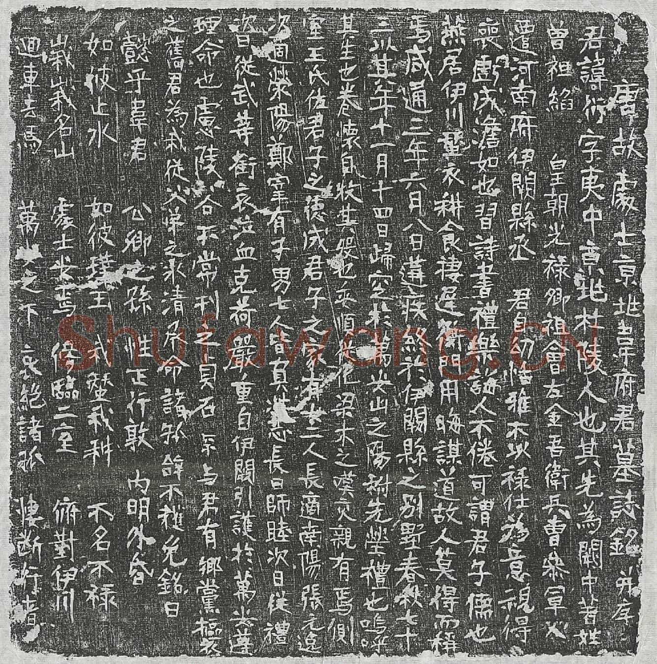 唐韦衍墓誌(唐故处士京兆韦府君墓誌铭并序)