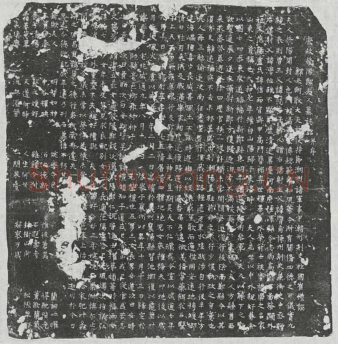 唐崔权妻郑氏墓誌(唐故荥阳郑夫人墓誌铭并序)