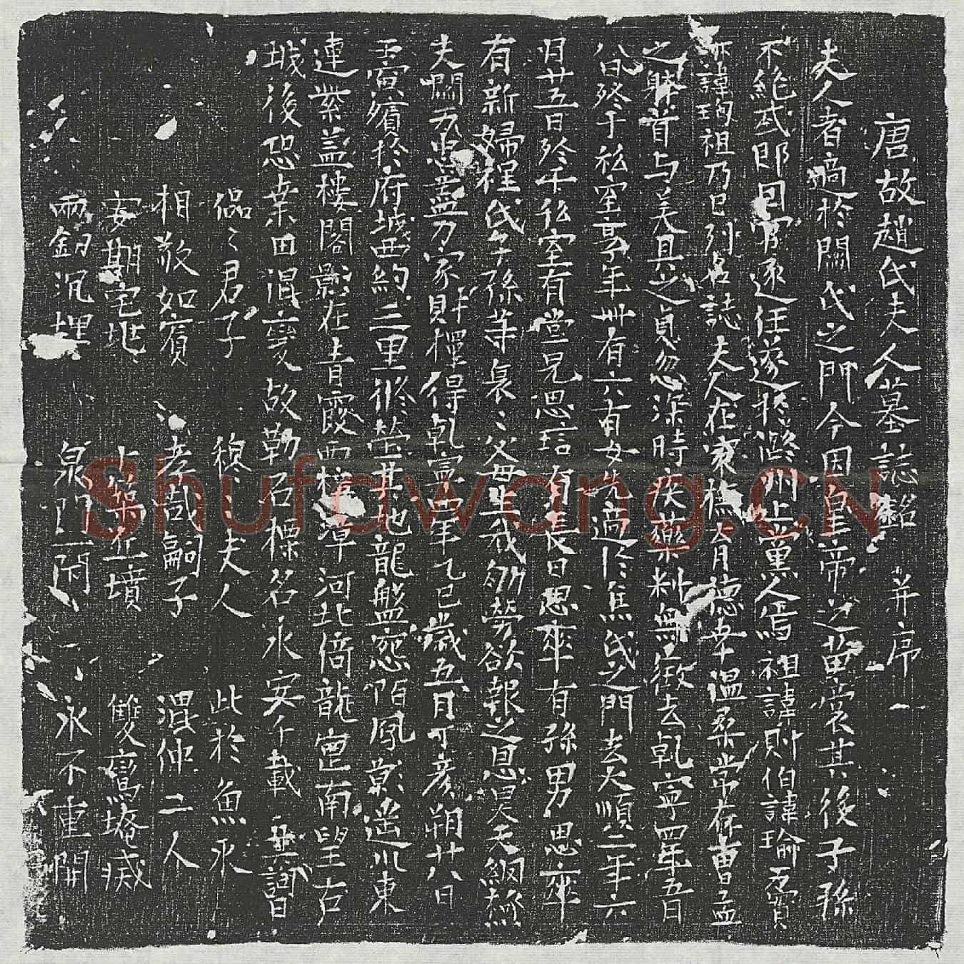 唐关君妻赵氏墓誌(唐故赵氏夫人墓誌铭并序)