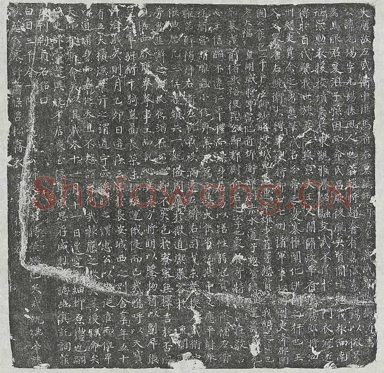 唐马元玚墓誌(大唐故左武伟中候马府君墓誌铭并序)