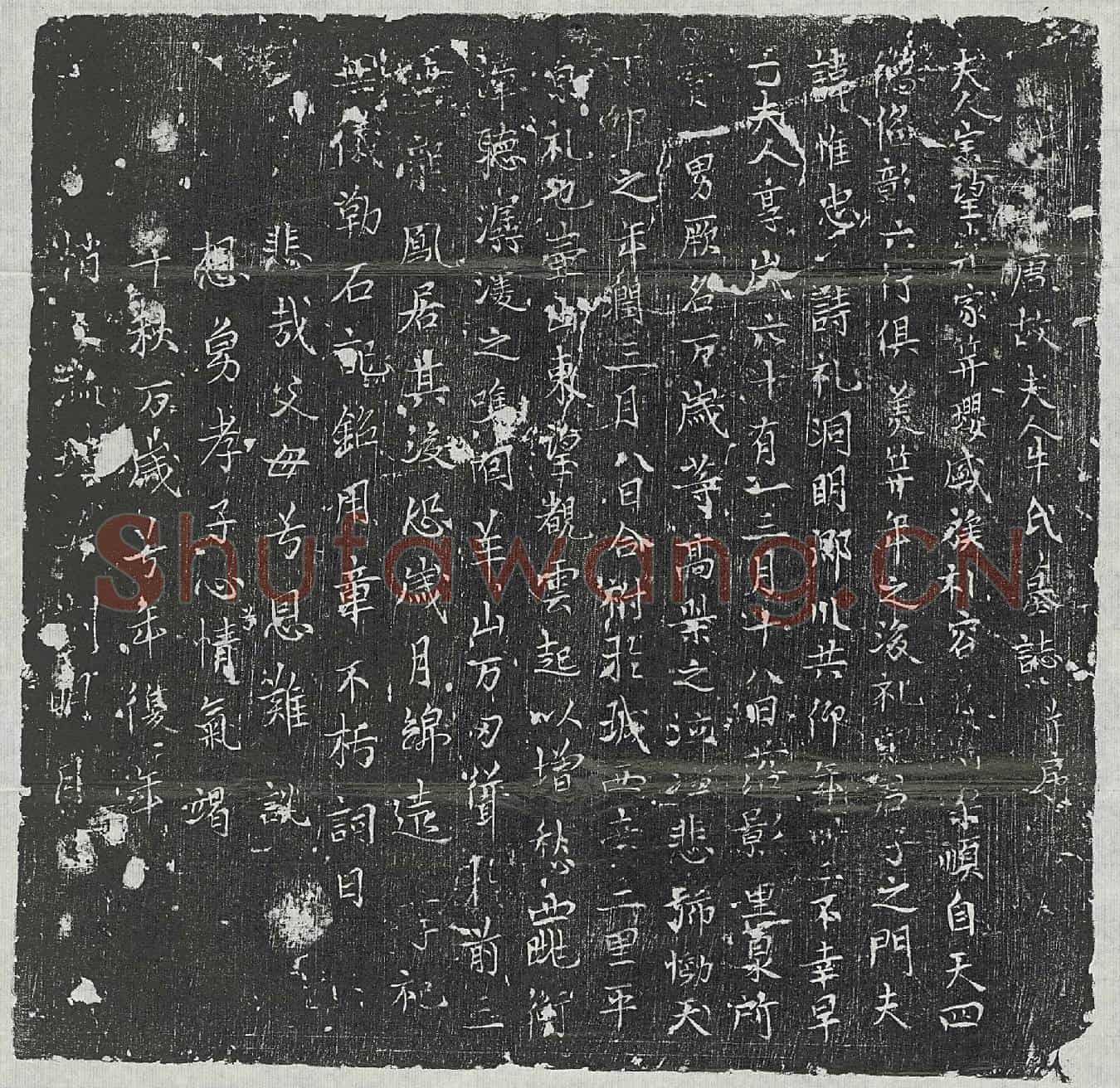 唐□惟忠妻牛氏墓誌(唐故夫人牛氏墓誌并序)