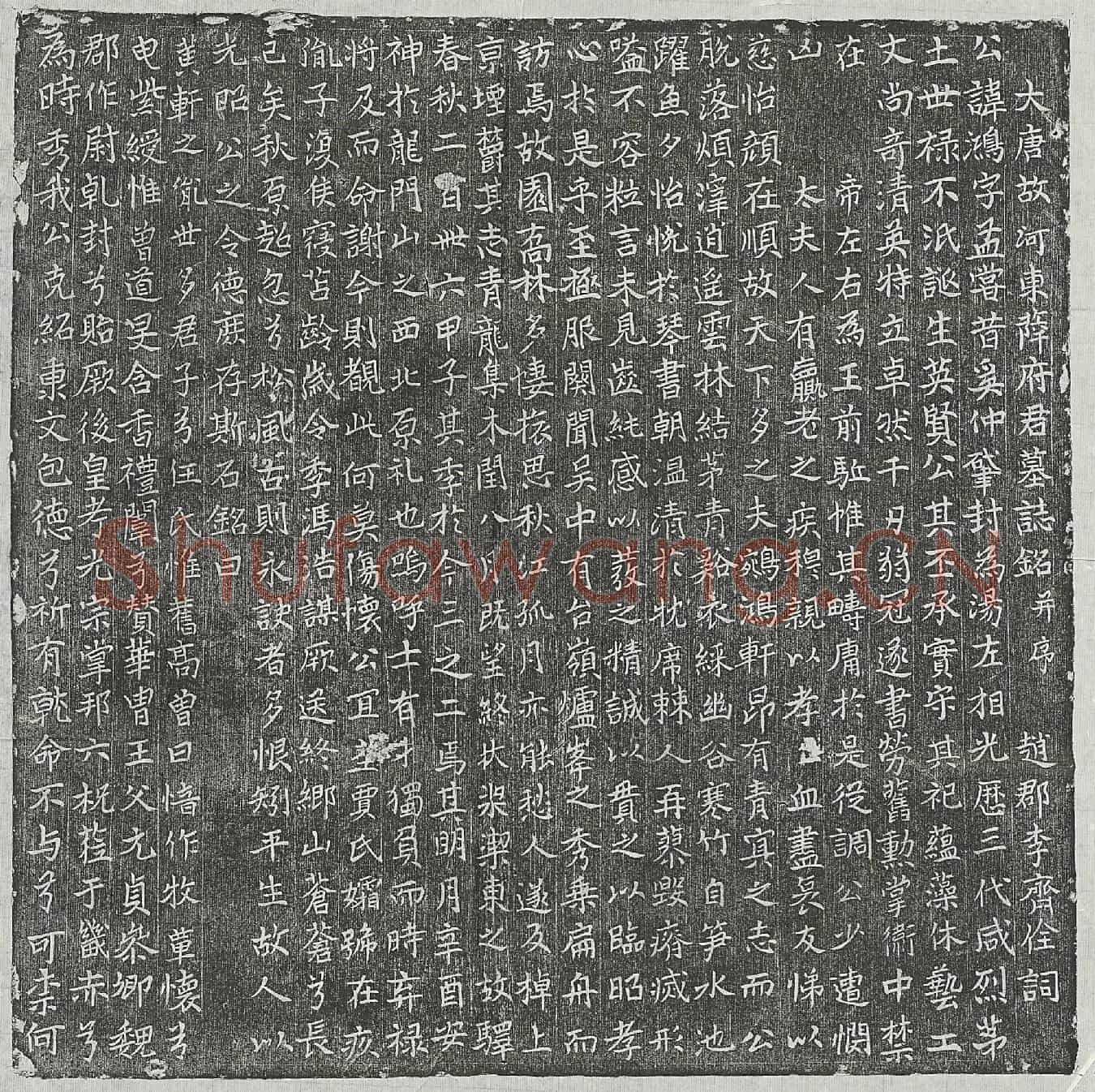 唐薛鸿墓誌(大唐故河东薛府君墓誌铭并序)