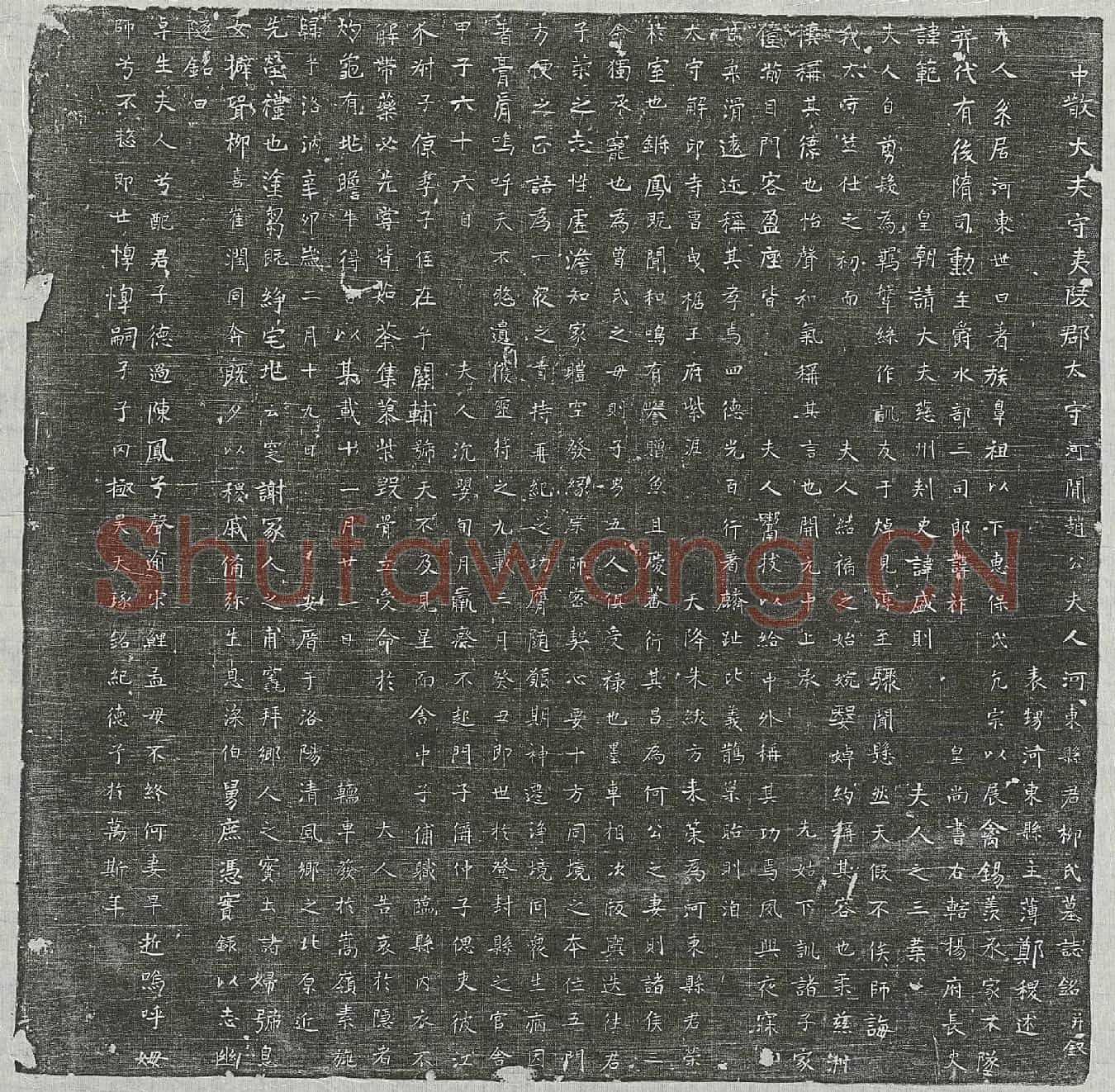 唐赵君妻柳氏墓誌(中散大夫守夷陵郡太守河间赵公夫人河东县君柳氏墓誌铭并叙)