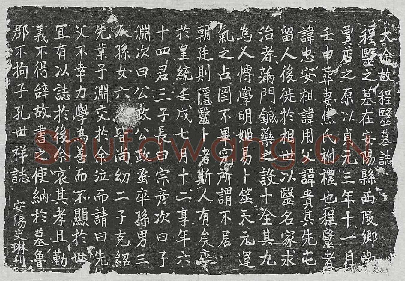 金程忠安墓誌(大金故程毉墓誌)