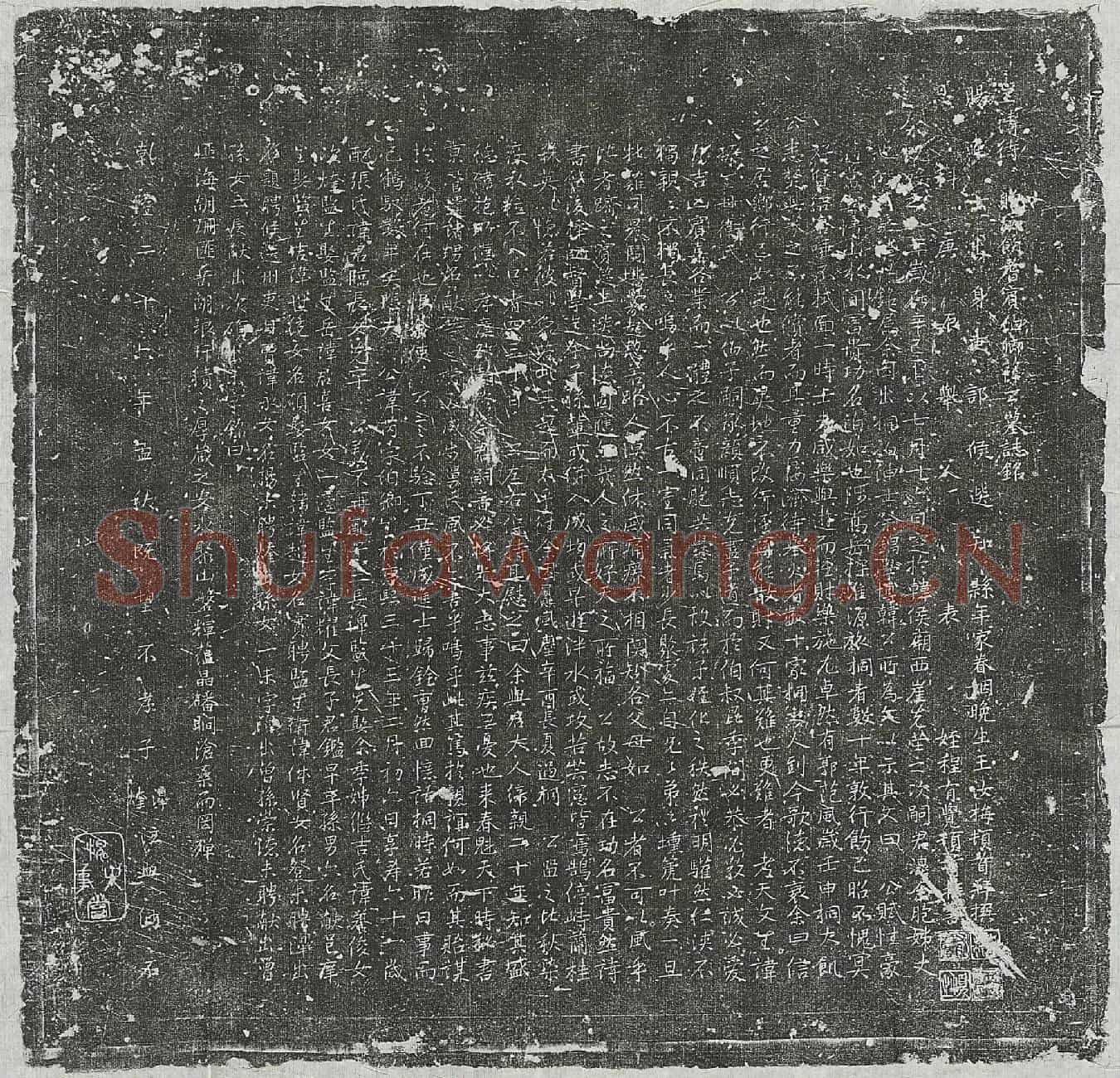 清薛芮墓誌(皇清待赠乡饮耆宾伯卿薛公墓誌铭)
