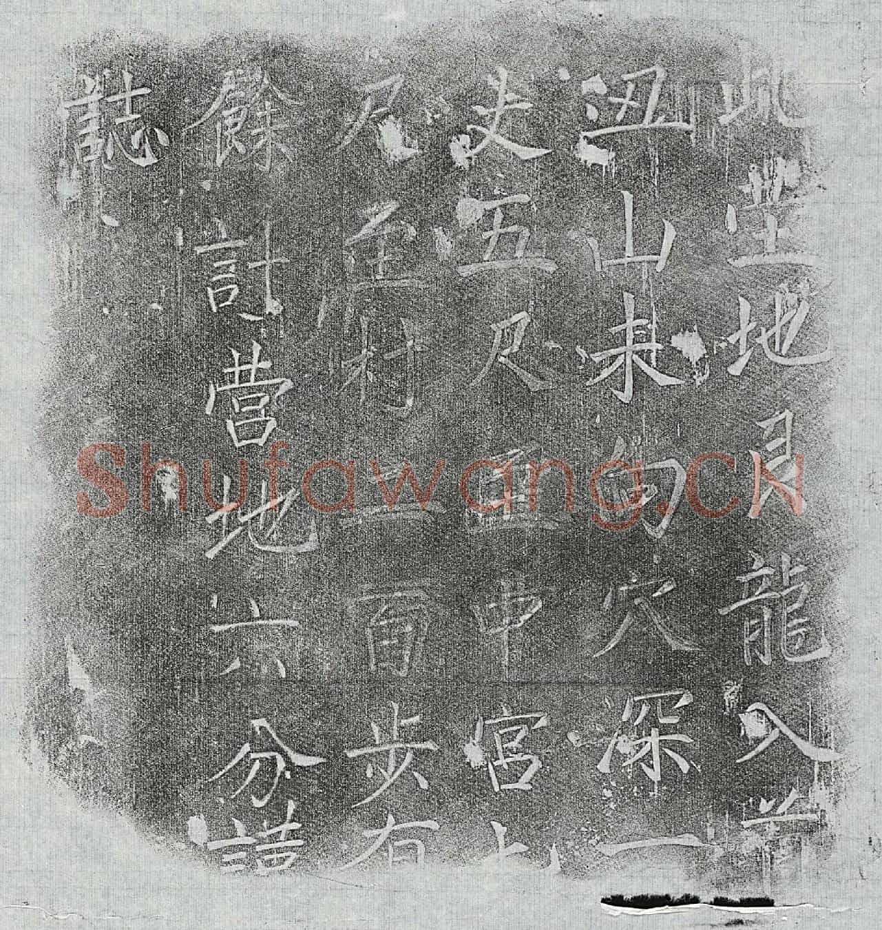 清张金俊及弟张金望墓誌