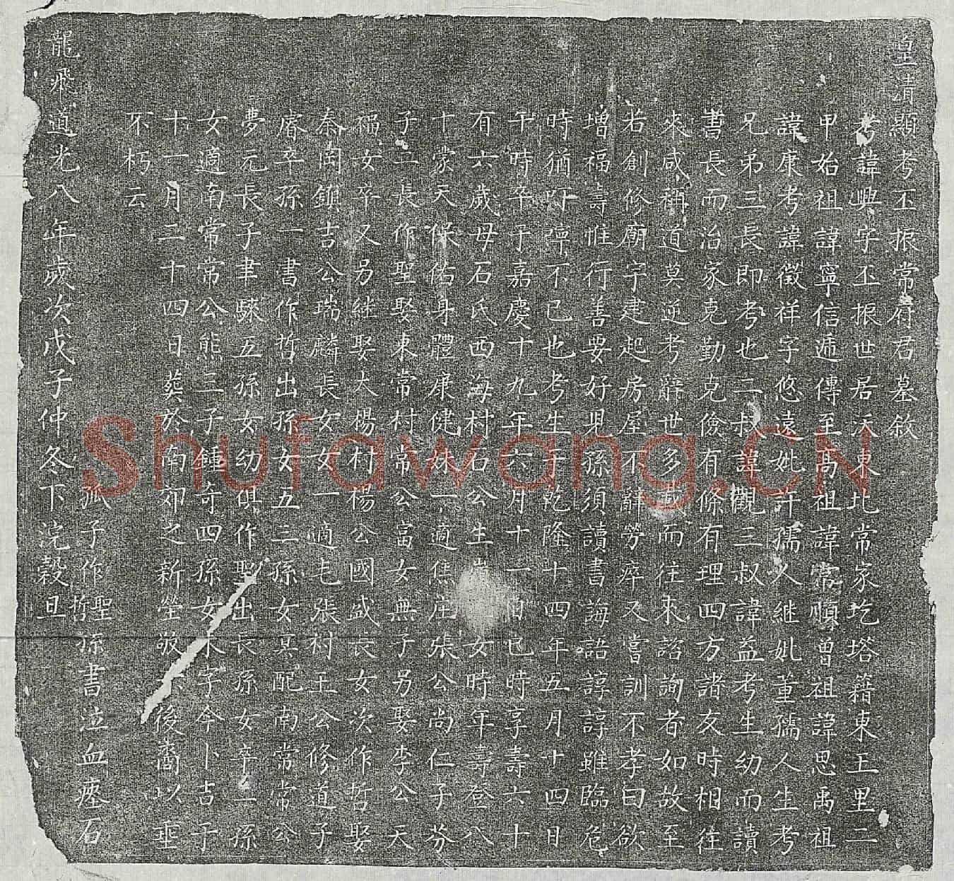 清常兴墓誌(皇清显考丕振常府君墓叙)