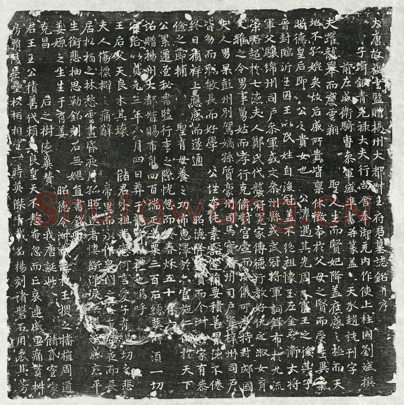 唐王遇墓誌(大唐故秘书监赠扬州大都督王府君墓誌铭并序)