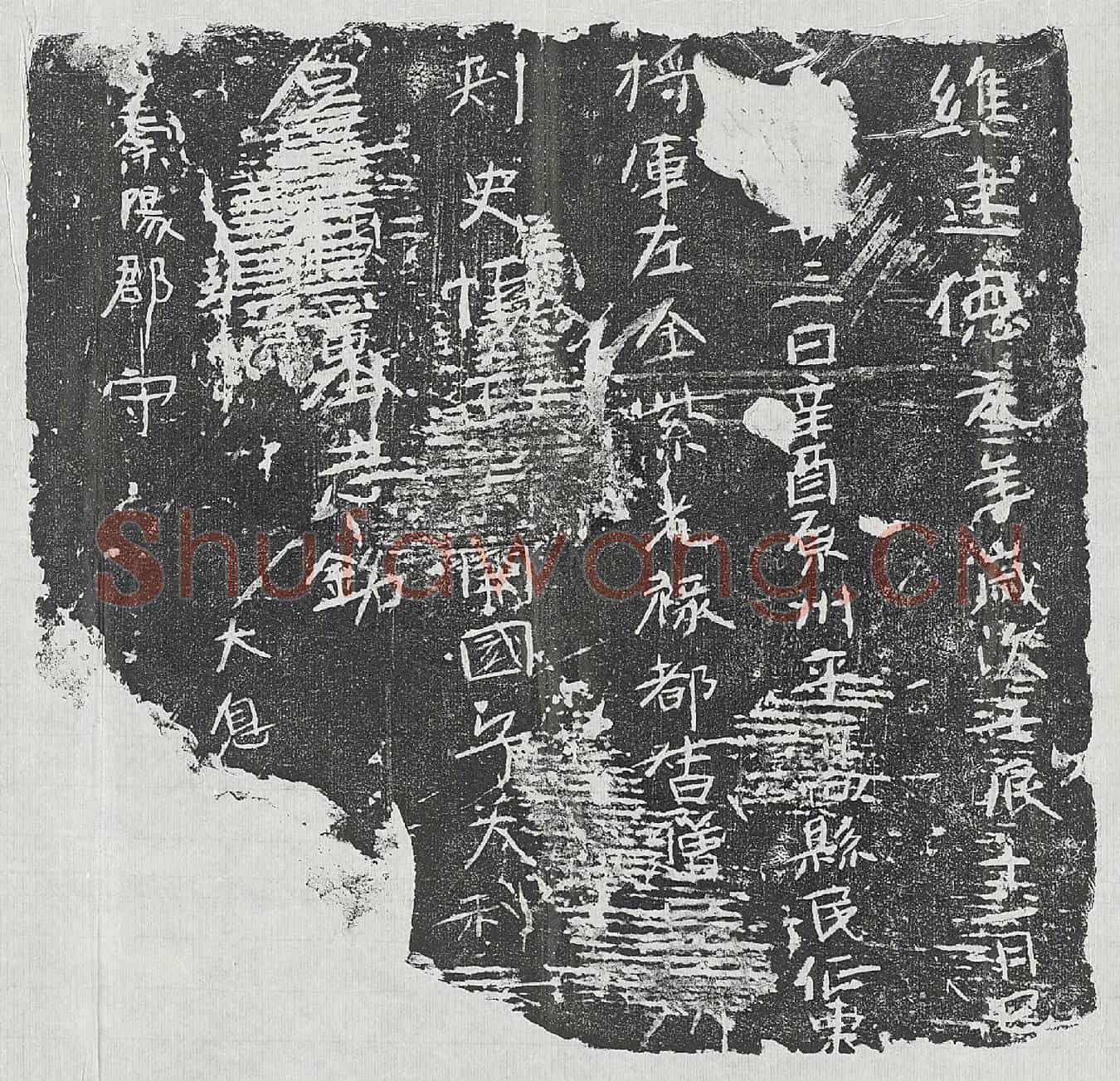 北朝□君墓誌(维建德元年岁次壬辰十一月己亥□廿三日辛酉原州平高县民征东将军左金紫光禄都督□□州刺史□政县开国子大利□□□墓志铭)