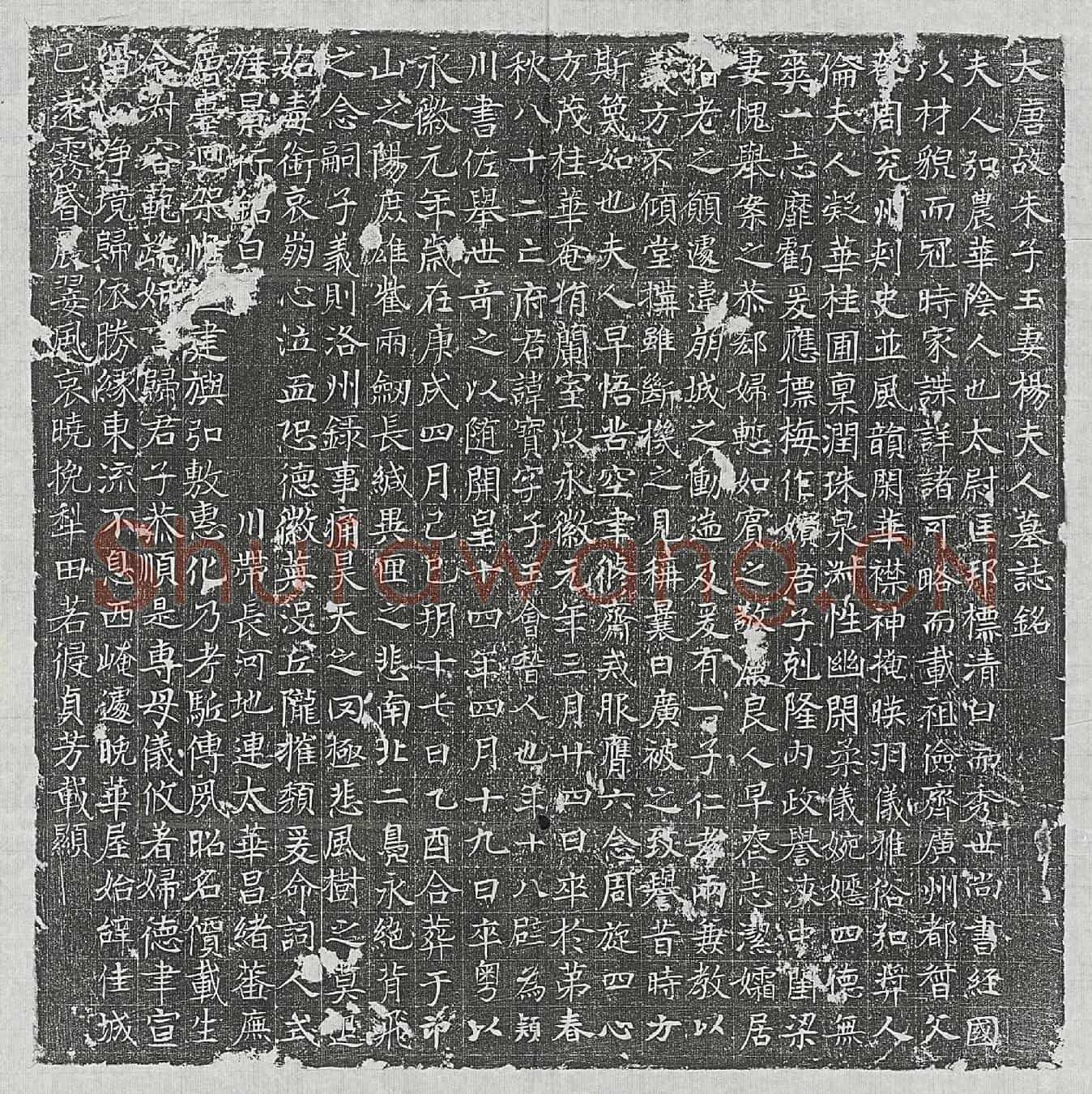 唐朱子玉妻杨氏墓誌(大唐故朱子玉妻杨夫人墓誌铭)