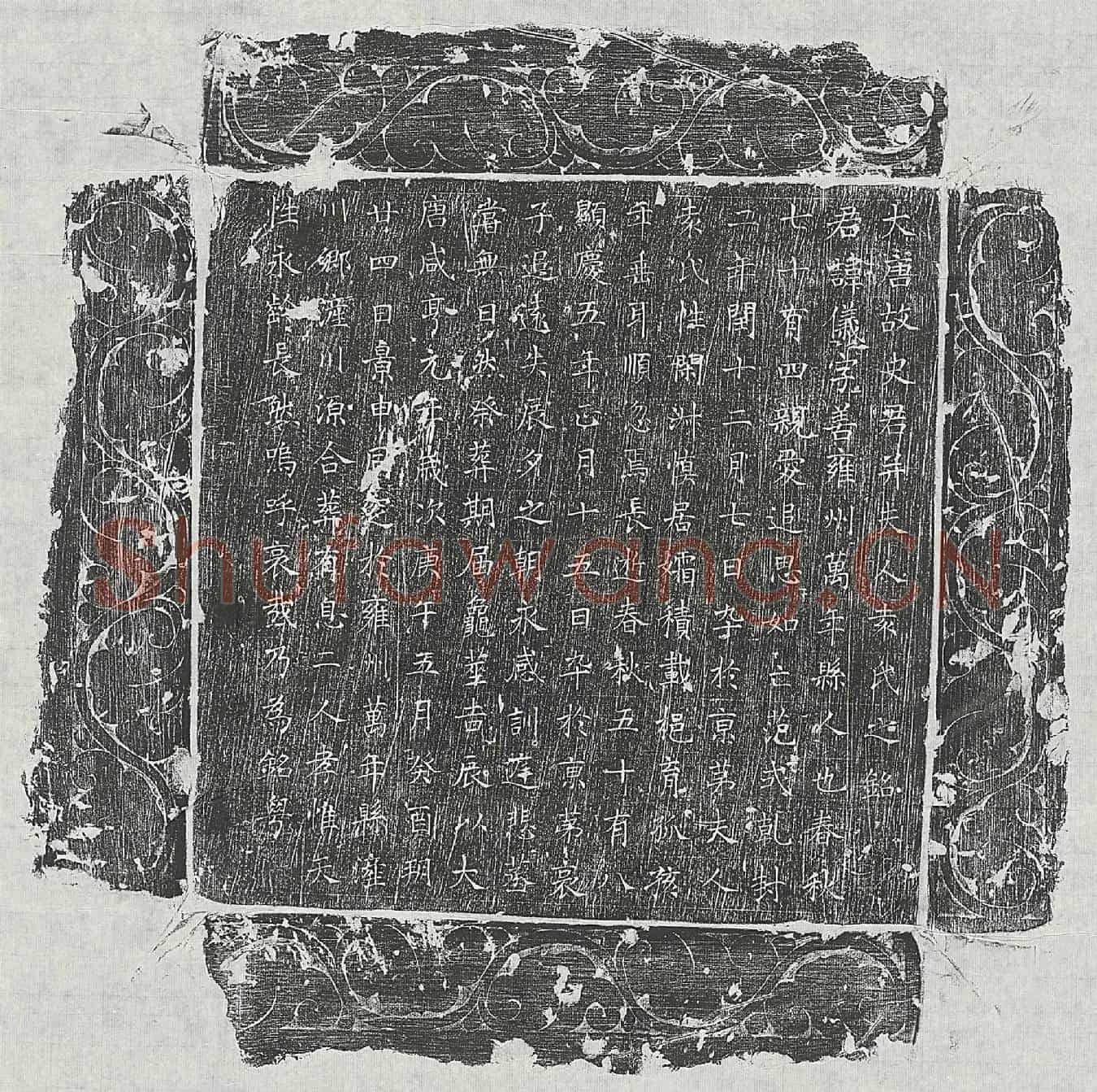 唐史仪、史仪妻袁氏墓誌(大唐故史君并夫人袁氏之铭)