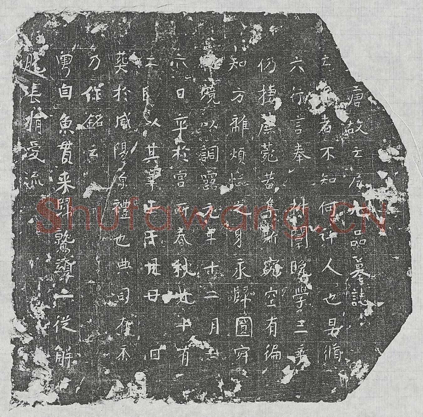唐七品亡尼墓誌(□唐故亡尼七品墓誌)