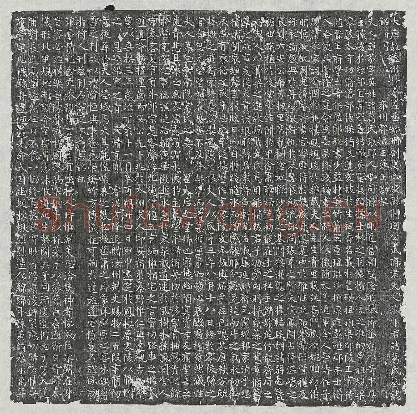 唐武士逸妻诸葛芬墓誌(大唐故益州行台左丞始州刺史六安县开国公武府君夫人琅耶君诸葛氏墓誌铭并序)