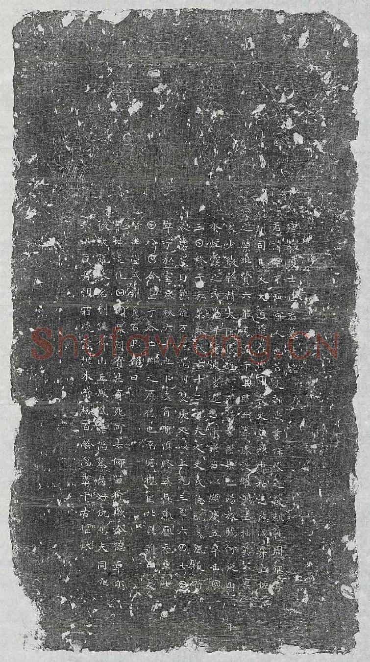 唐任智才墓誌(唐故处士任君墓誌铭并序)