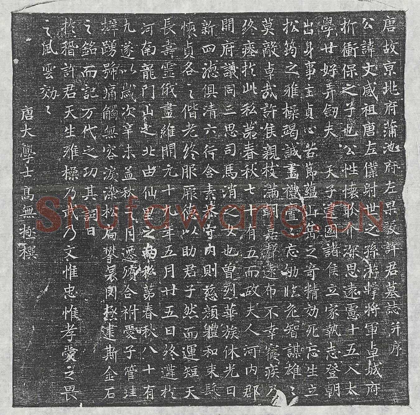 唐许文感墓誌(唐故京兆府蒲池府左果毅许君墓誌并序)