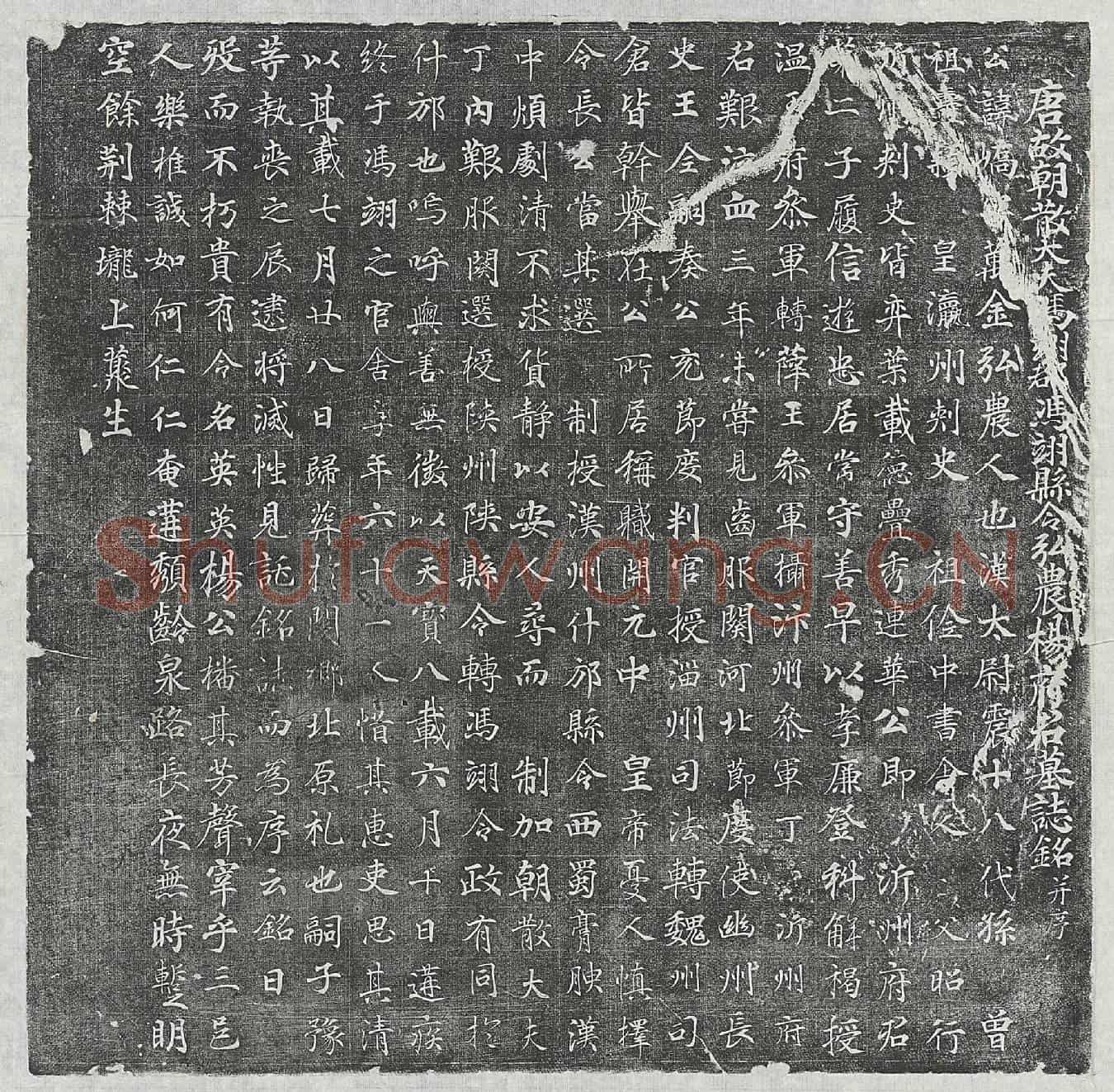 唐杨峤墓誌(唐故朝散大夫冯翊郡冯翊县令弘农杨府君墓誌铭并序)