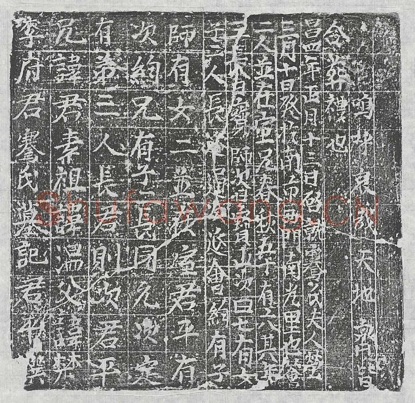 唐李君素、李君素妻骞氏墓誌(李府君骞氏墓记)