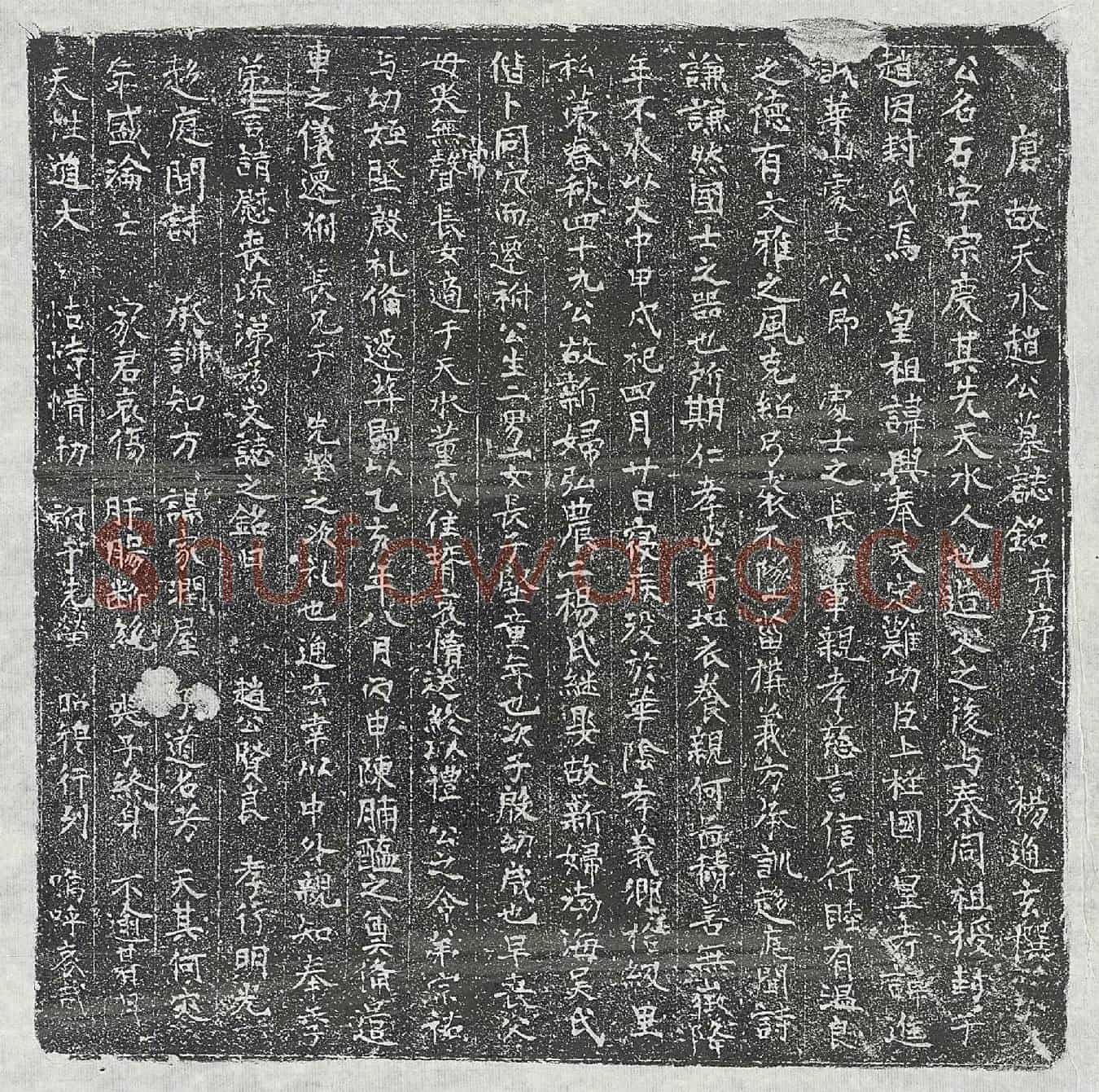 唐赵石墓誌(唐故天水赵公墓誌铭并序)