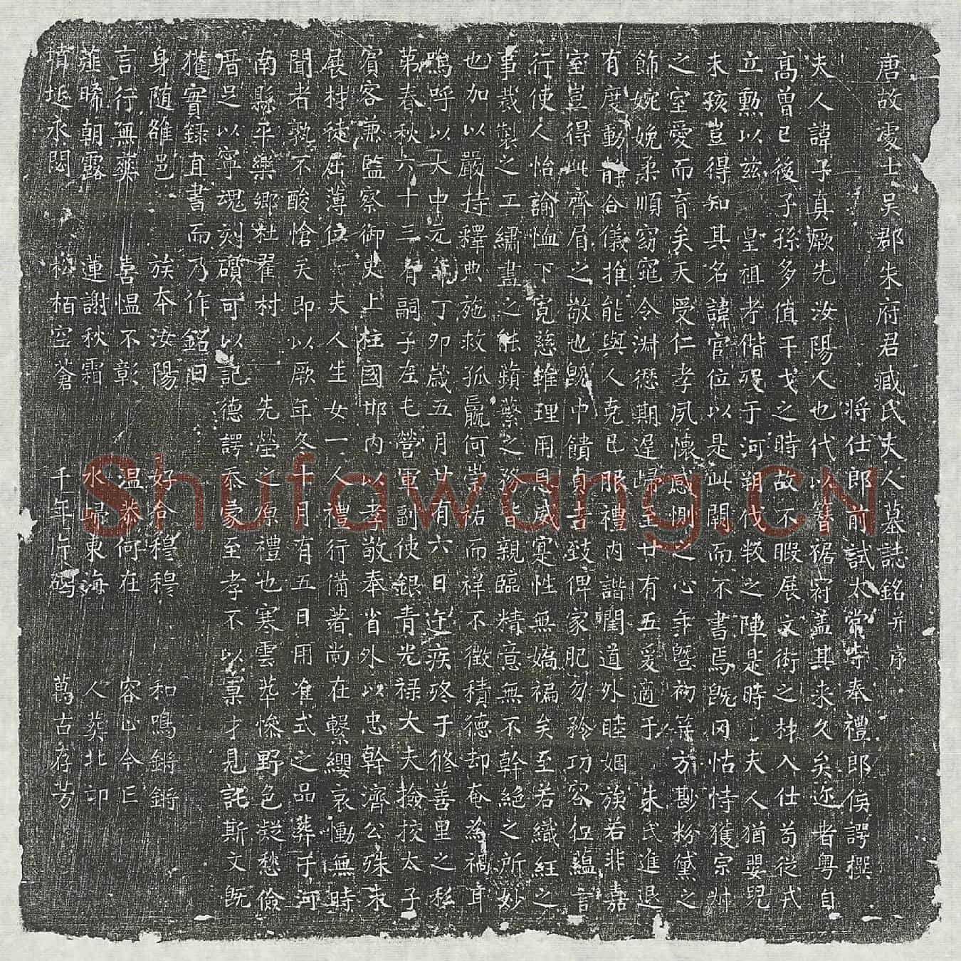 唐朱君妻臧子真墓誌(唐故处士吴郡朱府君臧氏夫人墓誌铭并序)