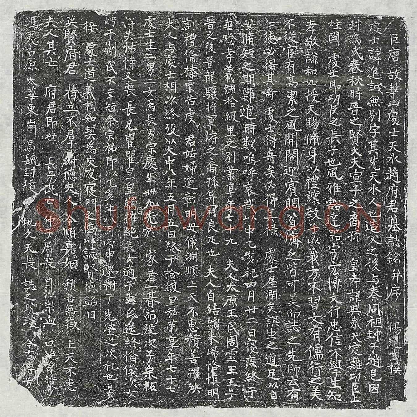 唐赵进诚墓誌(巨唐故华山处士天水赵府君墓誌铭并序)