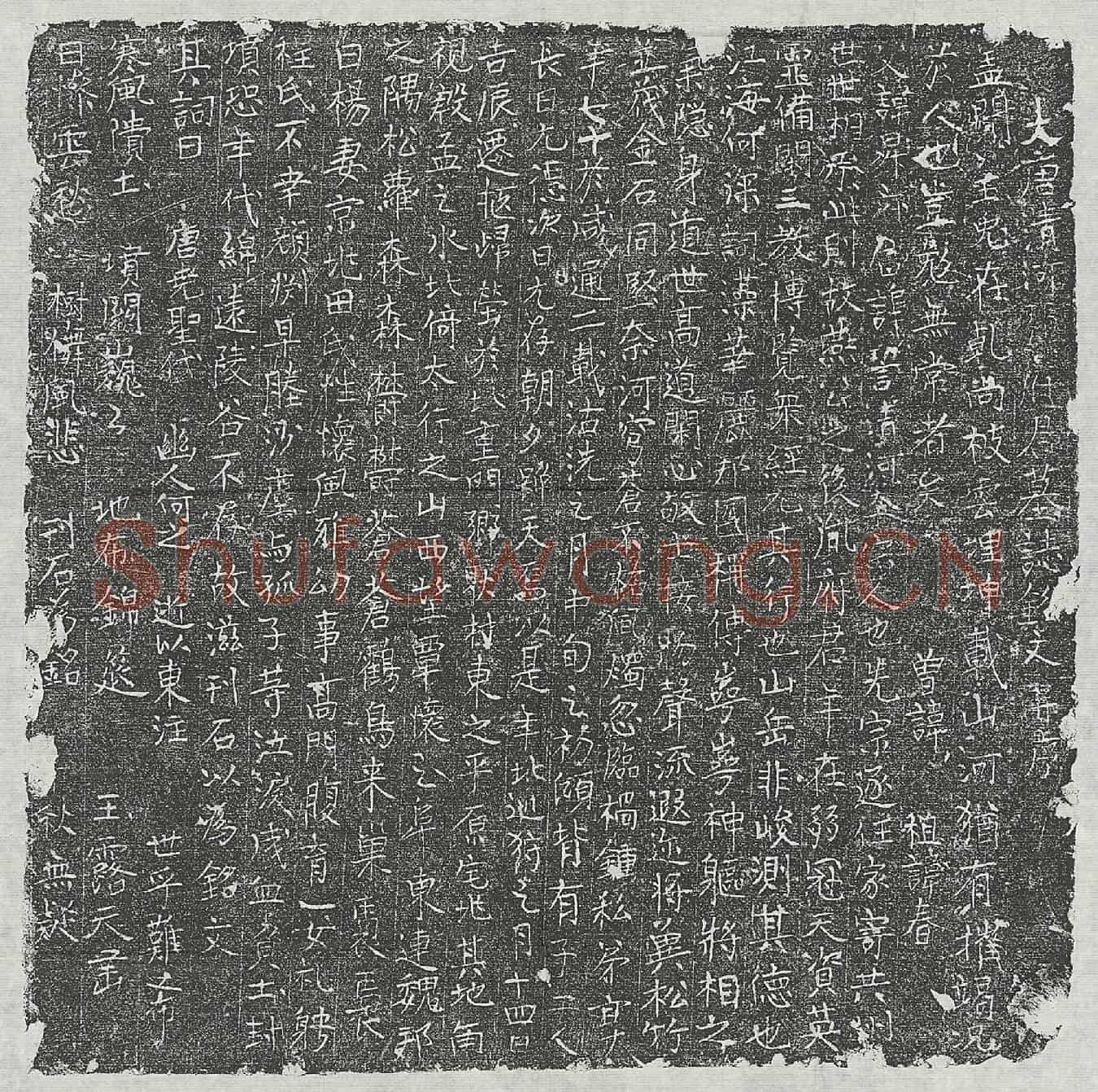 唐张誓墓誌(大唐清河张府君墓誌铭文并序)