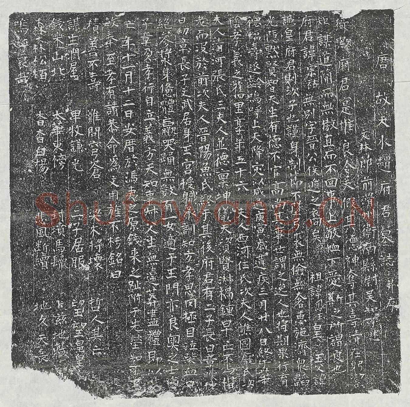 唐赵宗祜墓誌(唐故天水赵府君墓誌并序)