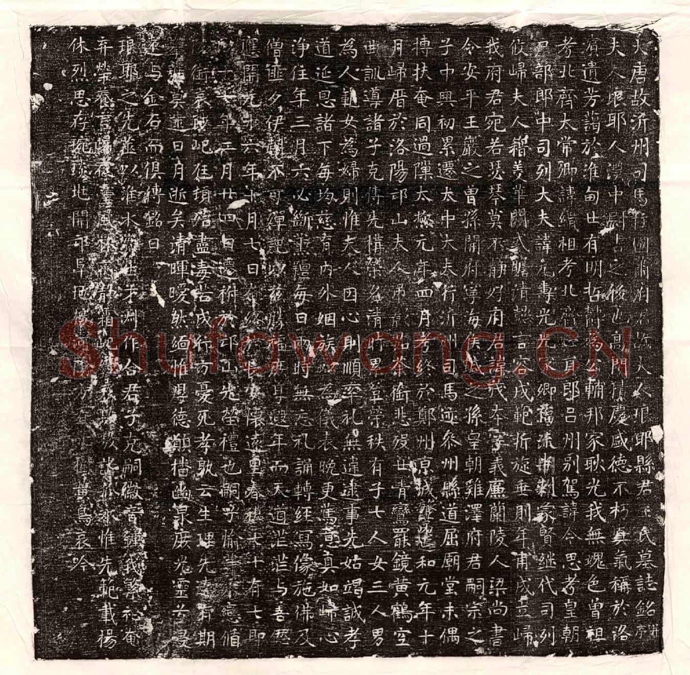 唐萧茂本妻王氏墓誌(大唐故沂州司马柱国萧府君故夫人琅耶县君王氏墓誌铭并序)