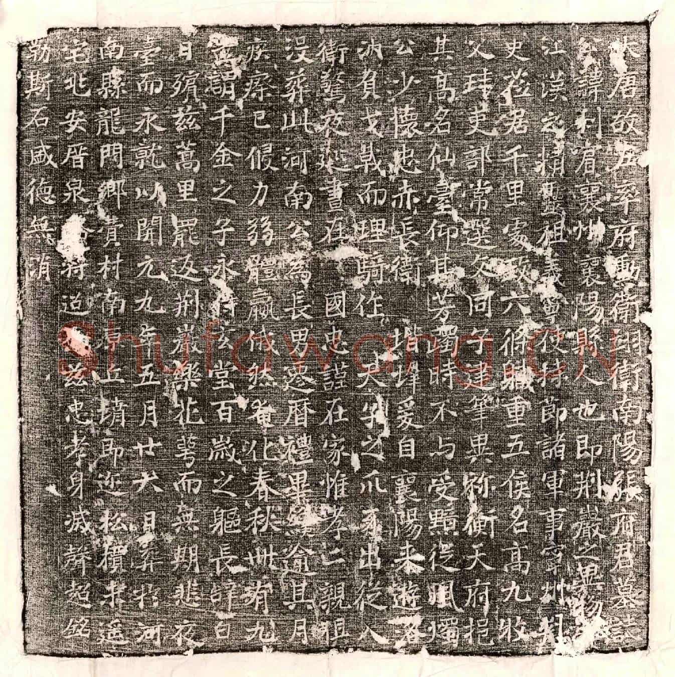 唐张利宾墓誌(大唐故左率府勋卫翊卫南阳张府君墓誌)