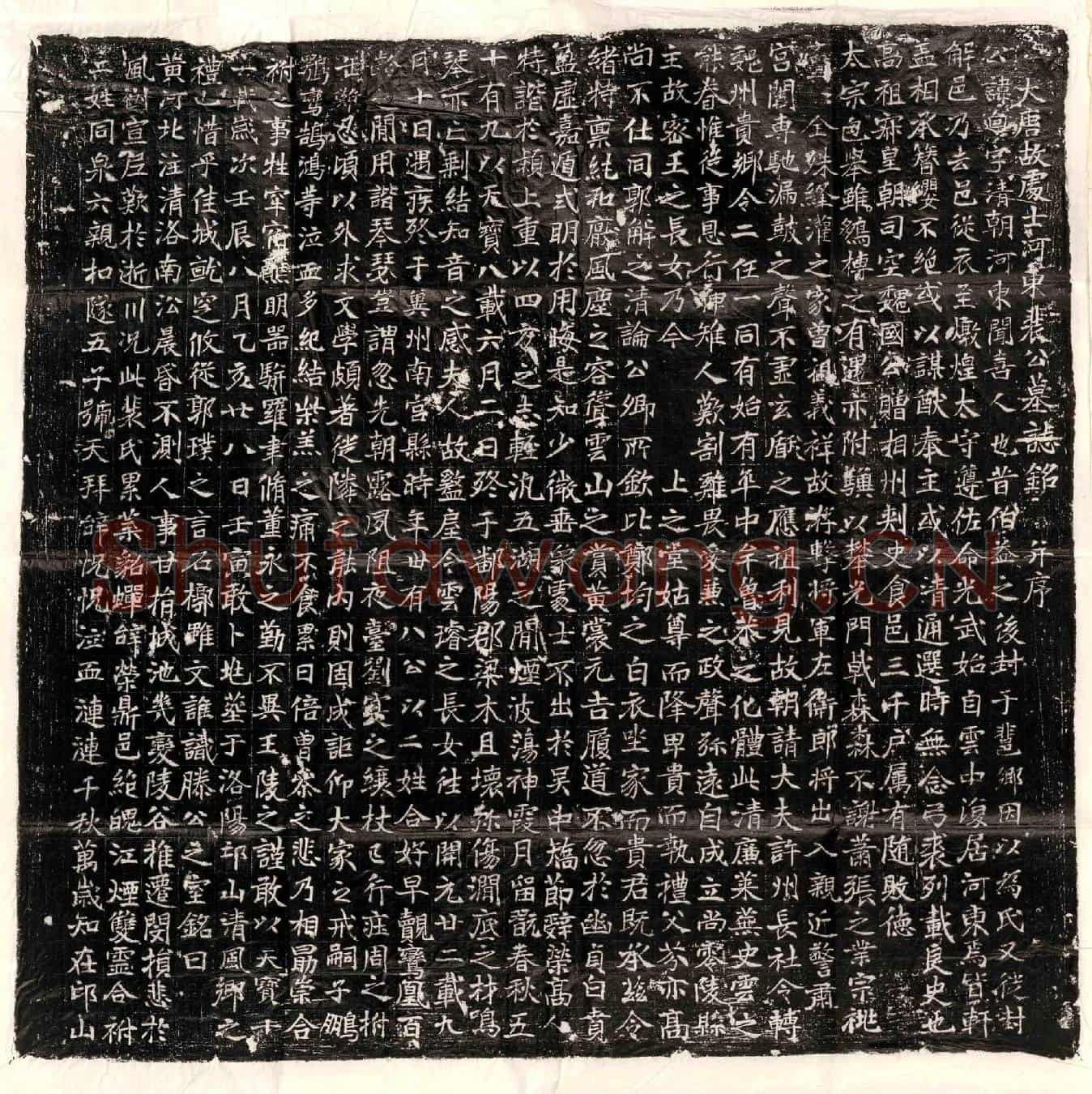 唐裴迥墓誌(大唐故处士河东裴公墓誌铭并序)