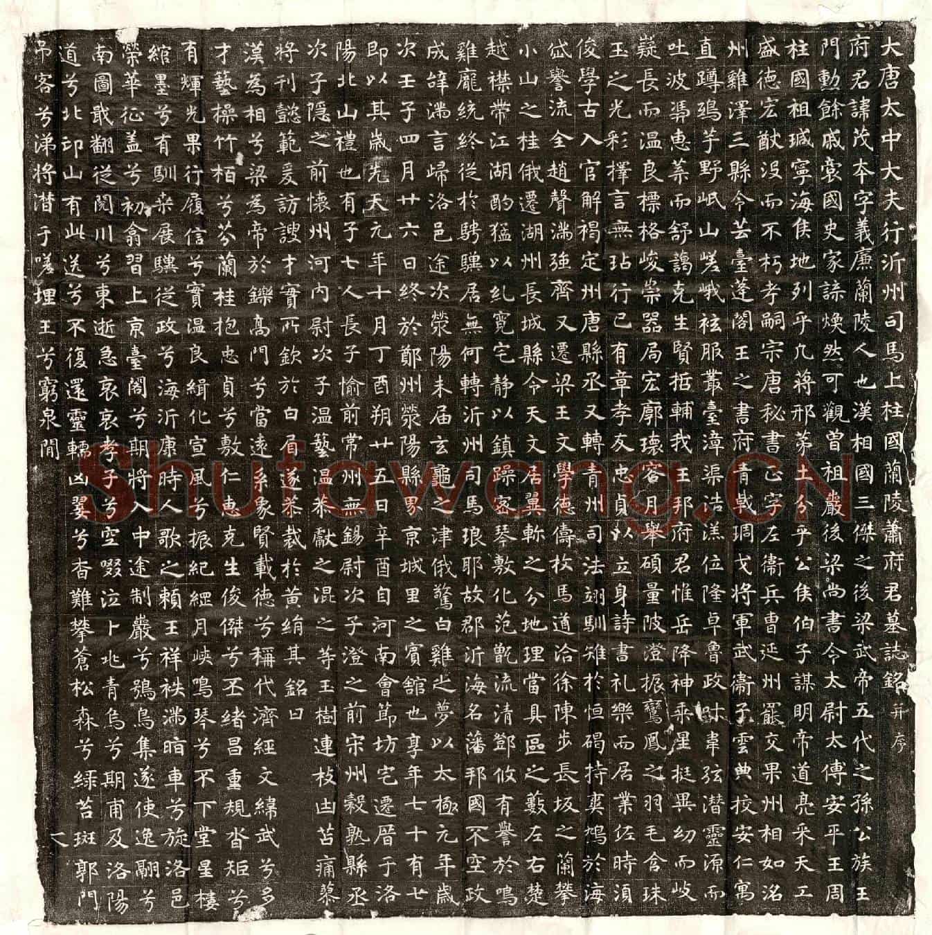 唐萧茂本墓誌(大唐太中大夫行沂州司马上柱国兰陵萧府君墓誌铭并序)