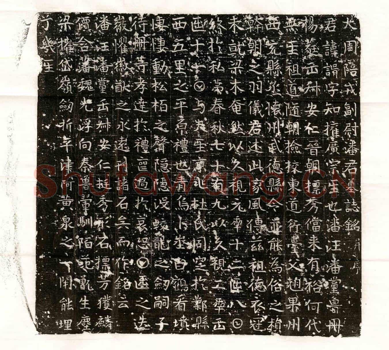 唐潘谓墓誌(大周陪戎副尉潘君墓誌铭并序)