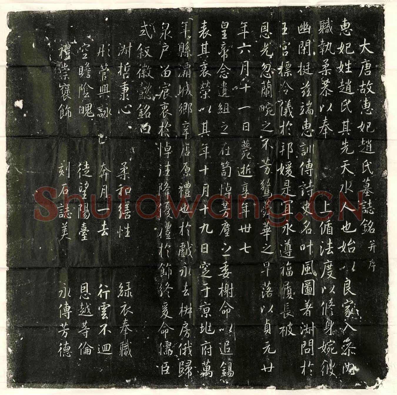 唐赵惠妃墓誌(大唐故惠妃赵氏墓誌铭并序)