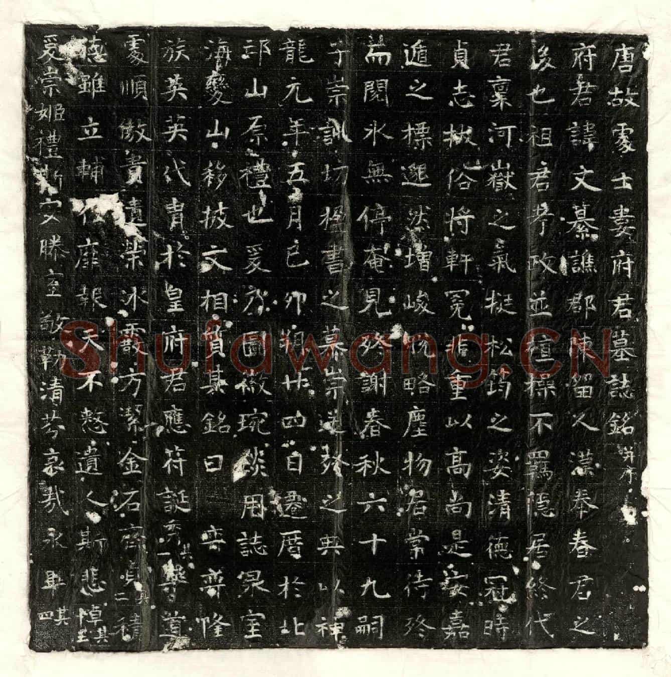 唐娄文纂墓誌(唐故处士娄府君墓誌铭并序)