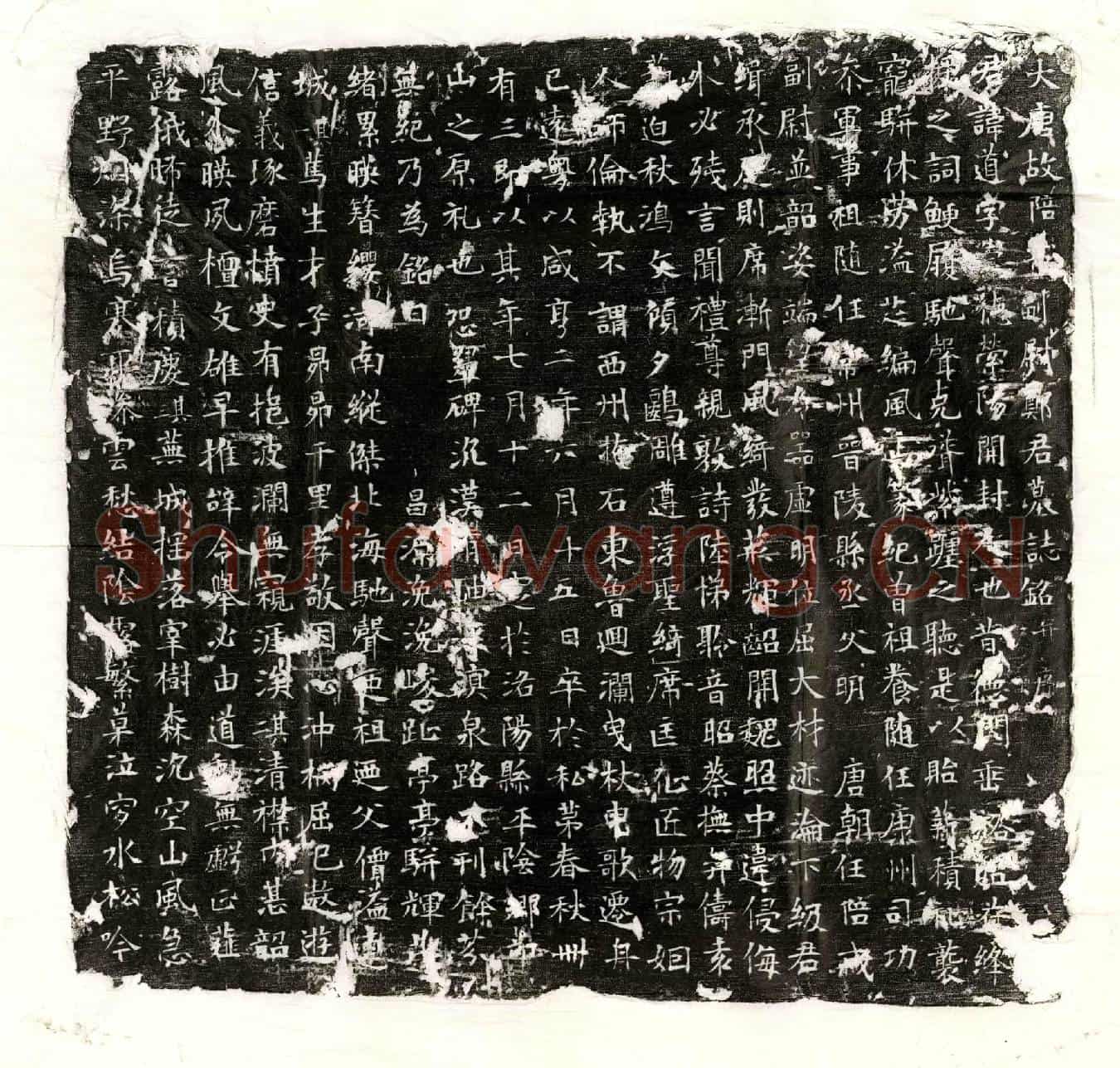 唐郑道墓誌(大唐故陪【戎】副尉郑君墓誌铭并序)