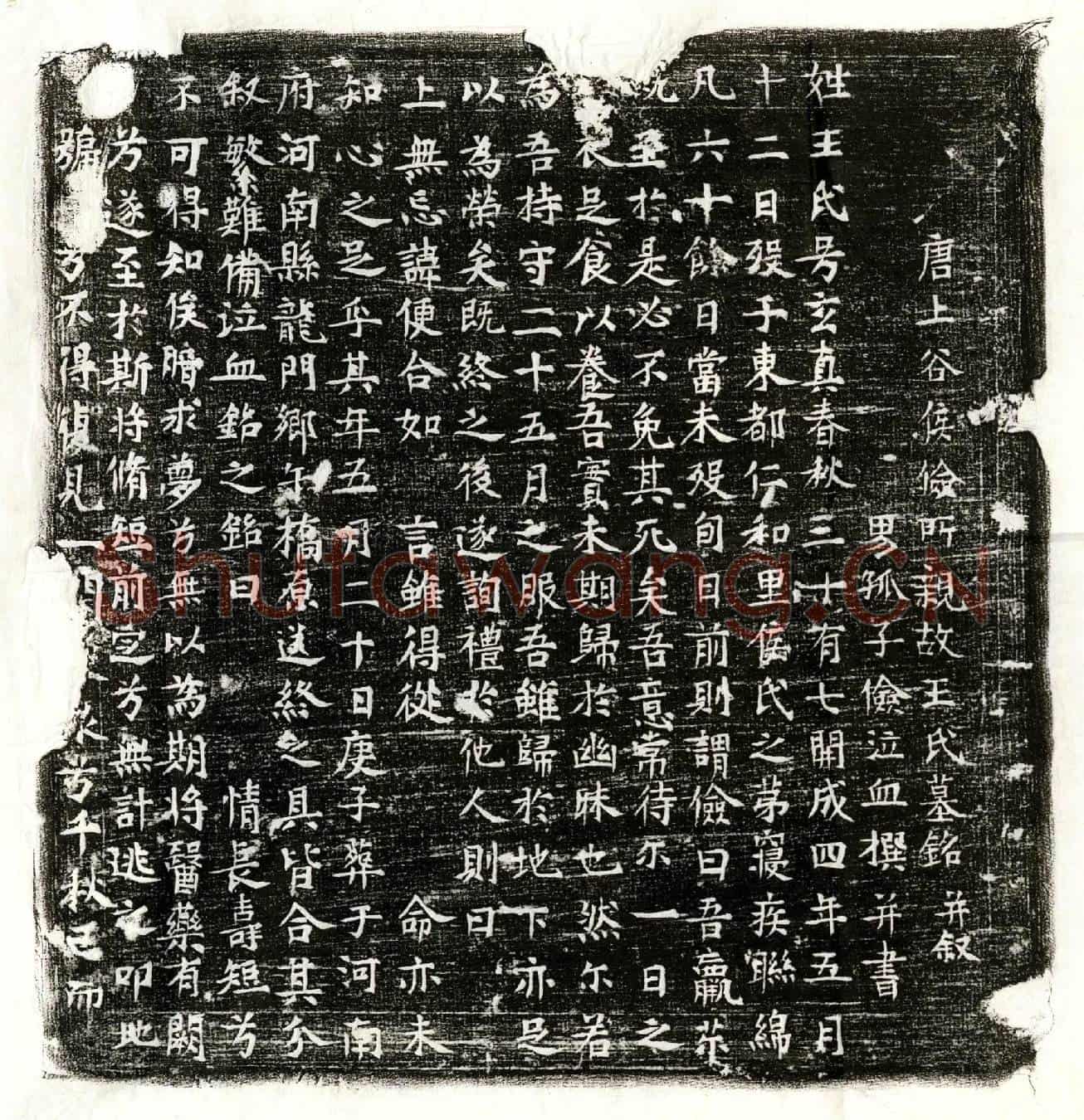 唐侯俭母王玄真墓誌(唐上谷侯俭所亲故王氏墓铭并叙)