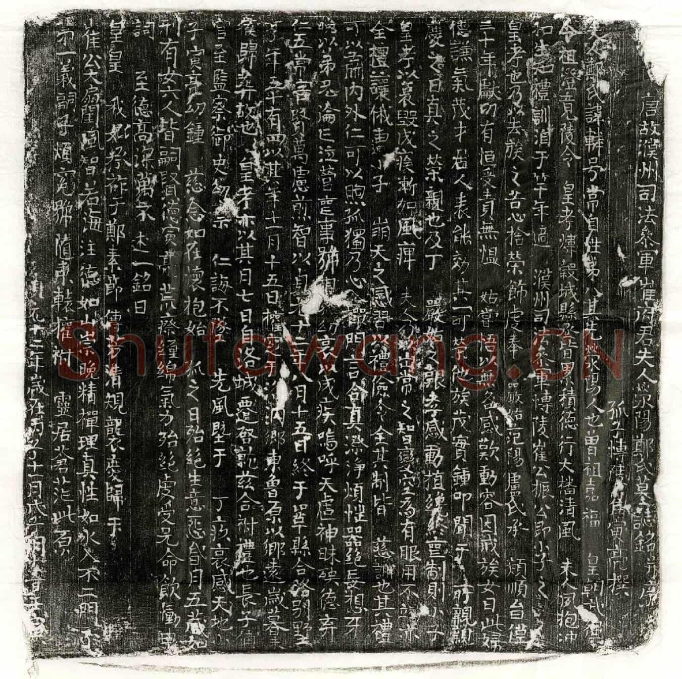 唐崔振、崔振妻郑辚墓誌(唐故濮州司法参军崔府君夫人荥阳郑氏墓誌铭并序)