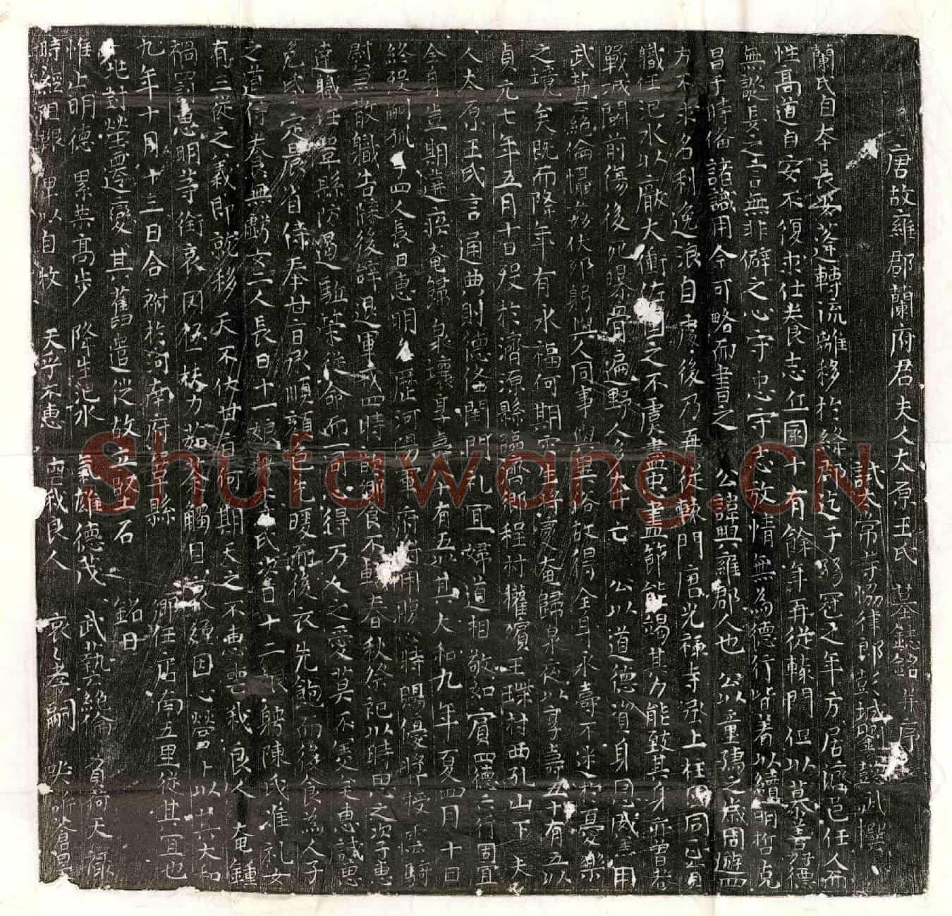 唐兰兴；兰兴妻王氏墓誌(唐故雍郡兰府君夫人太原王氏墓誌铭并序)