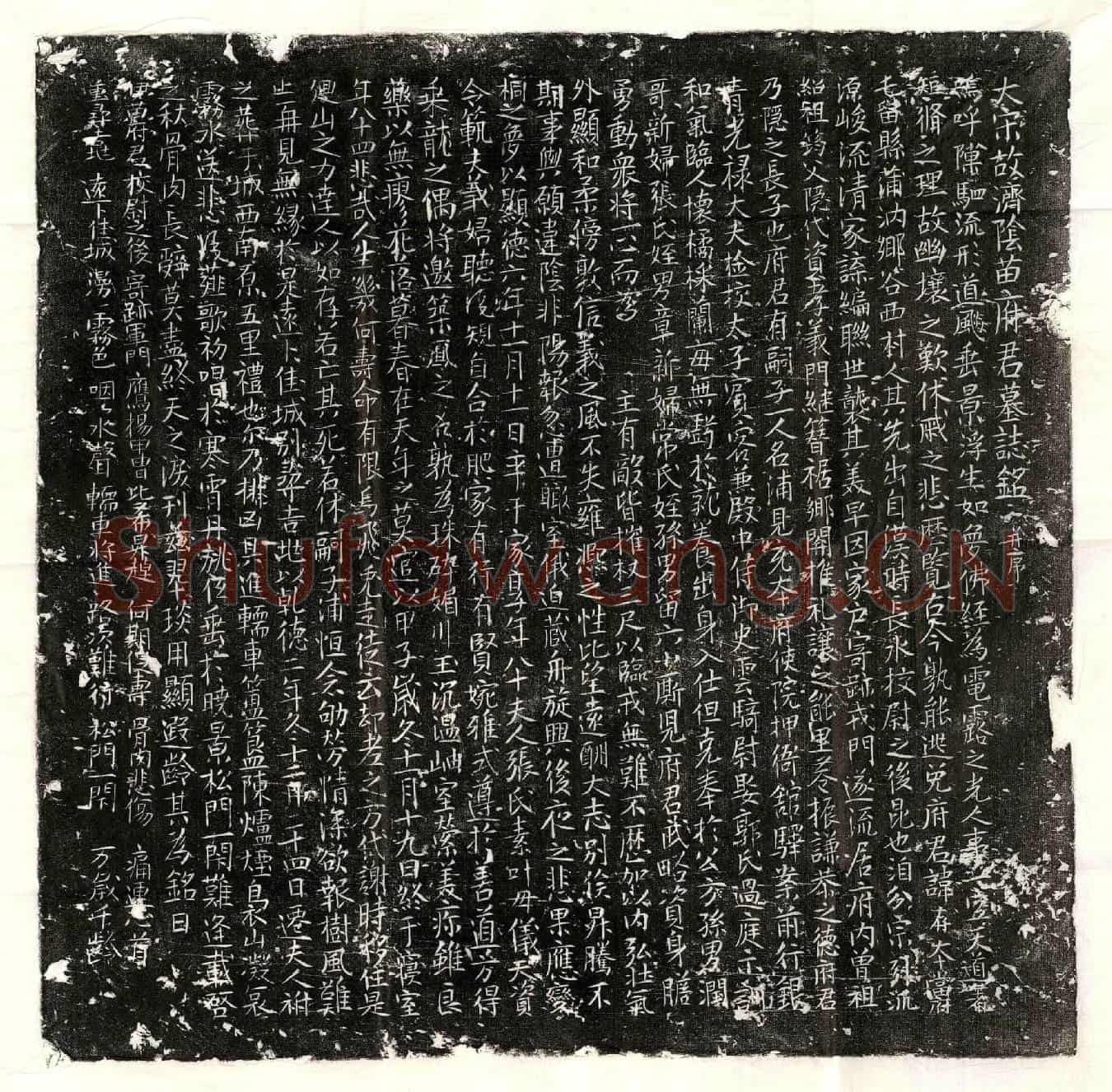 北宋苗存墓誌(大宋故济阴苗府君墓誌铭并序)