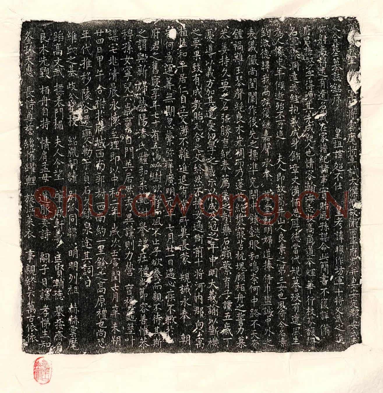 唐李叔沙、李叔沙妻安氏墓誌(唐□义军□□军副将云麾将军试太僕卿故陇西李府君并妻安定郡安氏夫人合葬墓誌铭序)