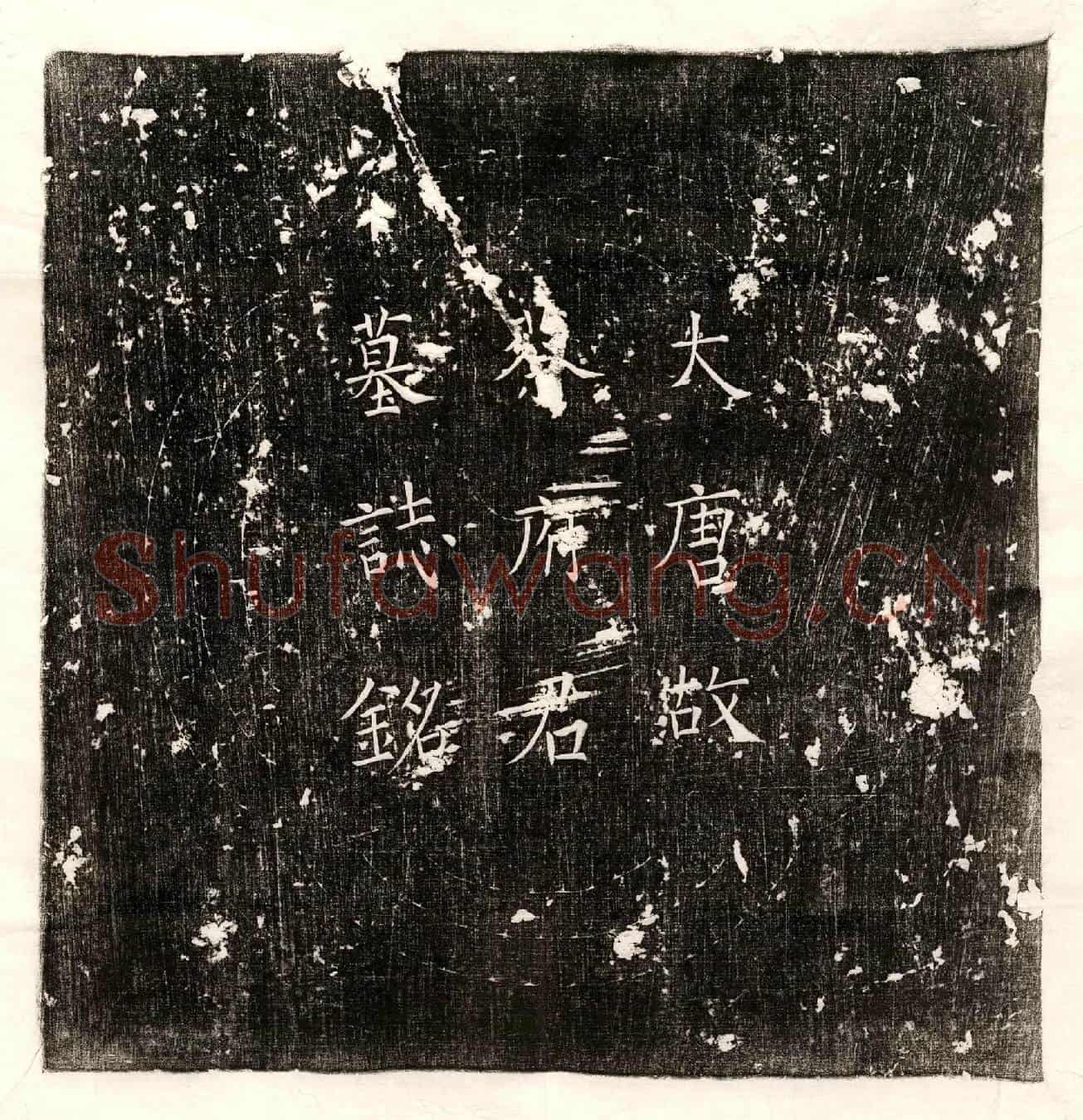 唐蔡勛墓誌(唐故朝议郎使持节都督银州诸军事守银州刺史兼度支营田使上柱国蔡府君墓誌铭)